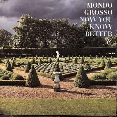 Mondo Grosso Now You Know Better